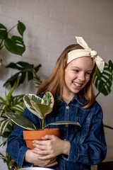 Teenage girl in denim overalls holds a ficus in her hands. Indoor plant.