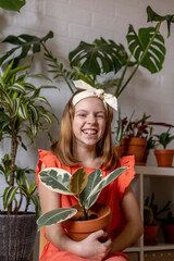 Teenage girl in coral dress sits in room and holds ficus in her hands. Emotional person