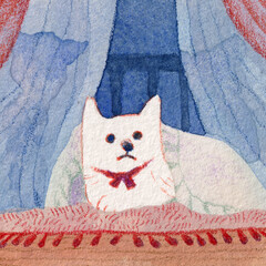 布団にもぐる白犬