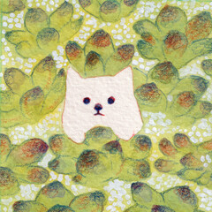 多肉植物と白犬