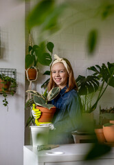 Teenage girl in denim overalls holds a ficus in her hands. Indoor plant.