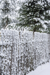 Winter landscape at Piatra Fantanele, Tihuta, Bistrita, Romania, April 2022