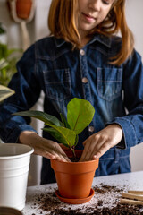 Teenage girl stands near table and rams the earth in pot with her hands. Plant transplant process.