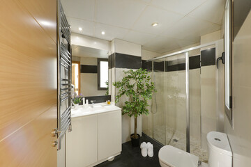 Bathroom with chrome towel rail, shower cabin with sliding glass partition, frameless mirror, white porcelain sink and decorative plant