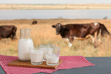 Bottle and glasses of fresh milk on table outdoors