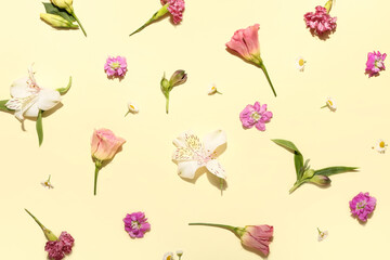 Many different flowers on color background