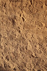 tracks in sand