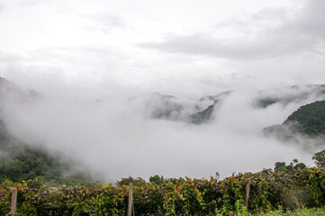 fog over the mountains in caxias do sul , brazil 