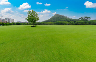 Natural scenery of green grassland at the foot of Malu mountain in Liuzhou, China