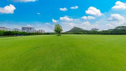 Obraz premium Natural scenery of green grassland at the foot of Malu mountain in Liuzhou, China
