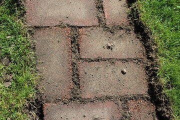 Red brick stone path appeared after remove the lawn