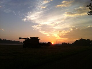 Naklejka premium Combine Harvester on field