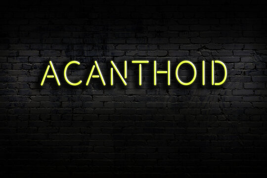 Neon sign. Word acanthoid against brick wall. Night view