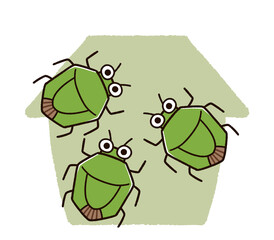 家に集まるカメムシの群れ