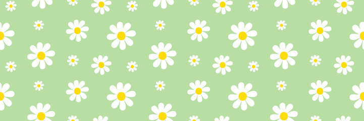 Wide horizontal vector seamless pattern background with white flowers, daisy flowers for nature, floral design.
