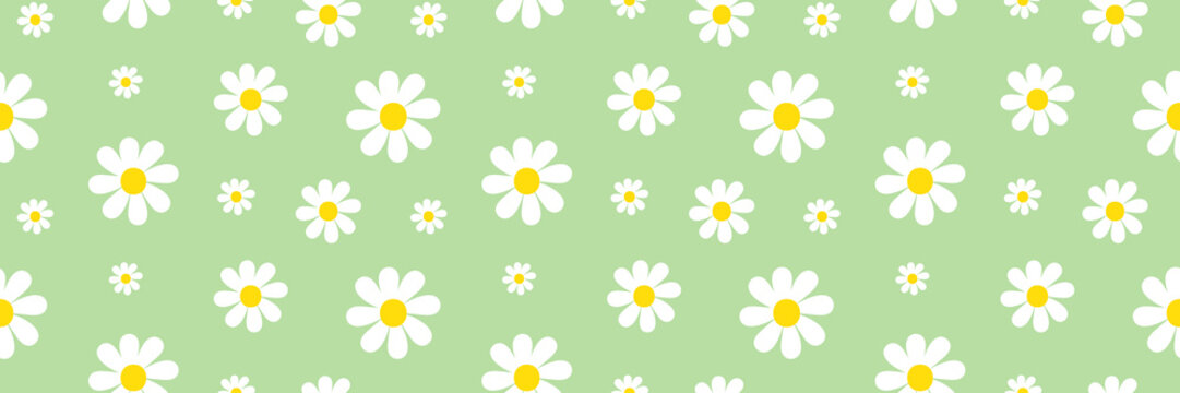 Wide Horizontal Vector Seamless Pattern Background With White Flowers, Daisy Flowers For Nature, Floral Design.
