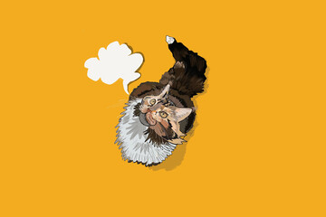 illustration of a cat with a think bubble 