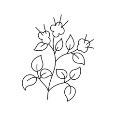 Thyme spices. Cooking ingredient. Line icon. Editable stroke size. Open paths. Vector sketch illustration.