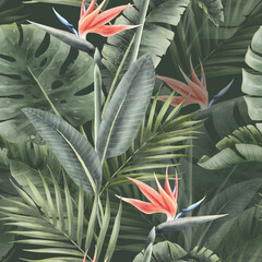 Watercolor seamless tropical pattern with strelitzia and  palm leaves and monstera isolated. © Aleksandra Baianova