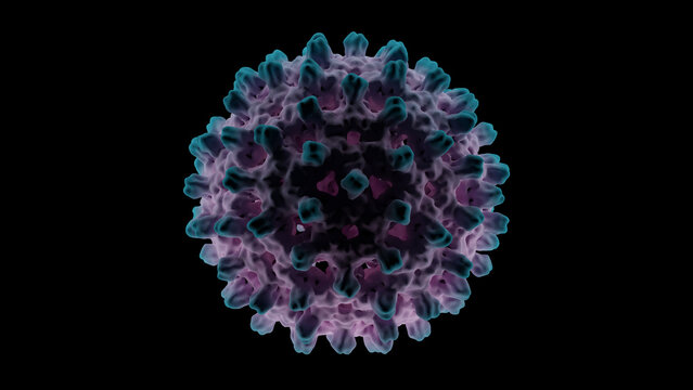Hepatitis B Virus structure, medical illustration 3d rendering