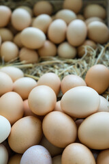 Group of brown chicken eggs on hay, Organic farm natural product for sale. Healthy eggs.