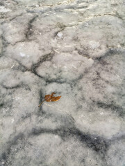 Nature. Winter snow-white frozen pond. Russia.