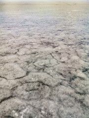 Nature. Winter snow-white frozen pond. Russia.