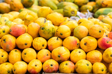 fruit mango - Delicious Mangifera indica