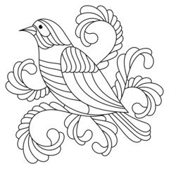 Coloring page for older children. Birds hand drawn in vintage style.
