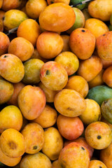 Fototapeta na wymiar fruit mango - Delicious Mangifera indica