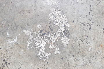 Old cement floor texture background. Grey cement background. Concrete texture background. Stone texture background. Wall and floor texture design.