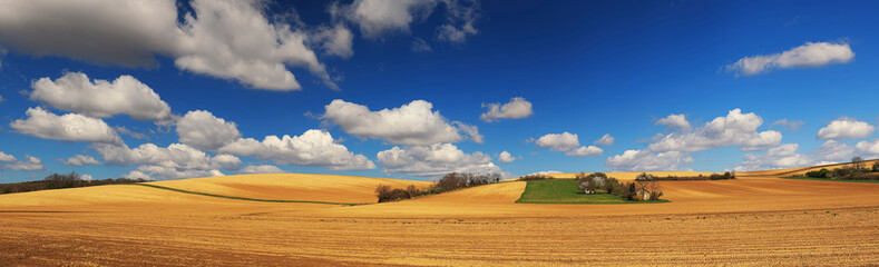 Fototapeta premium Beautiful wheat field landscape with cloudy sky