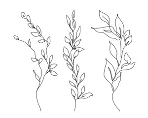 Leaves Line Art Vector Illustrations Set for Prins, Social Media, Icons. Floral Trendy Templates Minimalist Style. Set of Abstract Flowers in Line Style. Hand Drawn Doodle Template Collection 