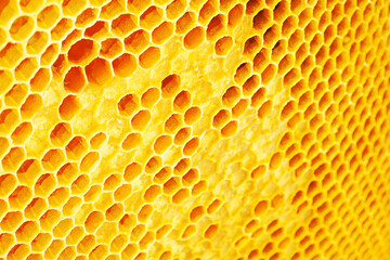 Yellow Honeycomb closeup background