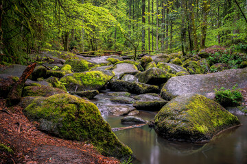 Green Waterfall River Rocks Covered With Green Moss Forest Waterfall. forest with a waterfall. Quiet and pleasant environment for tourism. Forest area with watercourse in Bavaria Germany
