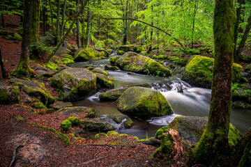 Obraz premium Green Waterfall River Rocks Covered With Green Moss Forest Waterfall. forest with a waterfall. Quiet and pleasant environment for tourism. Forest area with watercourse in Bavaria Germany