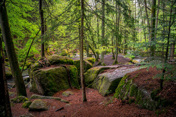 Green Waterfall River Rocks Covered With Green Moss Forest Waterfall. forest with a waterfall. Quiet and pleasant environment for tourism. Forest area with watercourse in Bavaria Germany