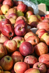 pomme fruit vrac bio alimentaire vitamine