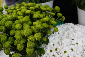 Bright bouquets of flowers with decorative paper on sale.