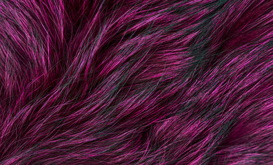 Animal fur texture of wolf or fox extreme closeup.