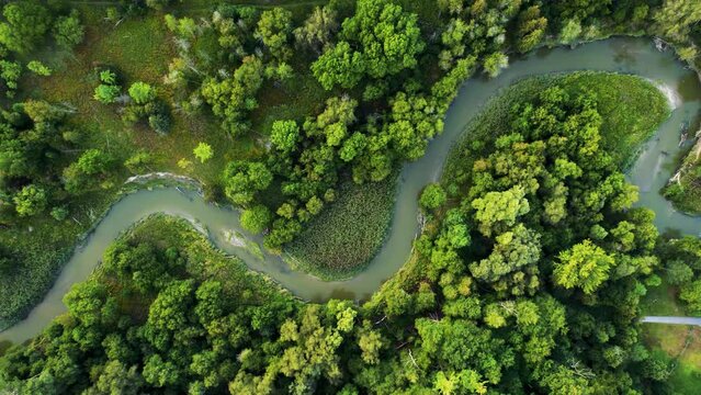 Overhead view of scenic landscape with curved meandering waterways lush green forest in Rouge Park