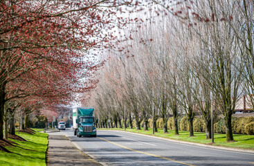 Dark green bonnet big rig semi truck transporting cargo in dry van semi trailer driving on the...