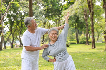 Fototapeta premium Asian senior couple practice yoga excercise, tai chi tranining, stretching and meditation together with relaxation for healthy in park outdoor after retirement. Happy elderly outdoor lifestyle concept