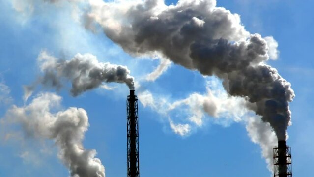 Factory chimneys smoke into the blue sky. Industrial pipes pollute the ozone layer with smoke. 