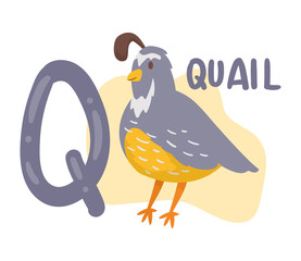 quail and q letter