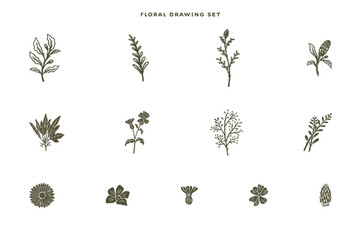 Vintage Hand Drawn Floral Illustration Sets
