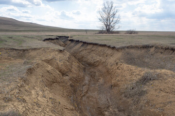 Deep clay ravine. Soil erosion. Natural landscape.
