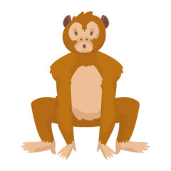 cute monkey animal kid