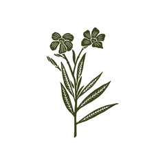 Vintage Hand Drawn Floral Illustration