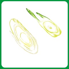 手描き水彩の斜め切りネギイラスト